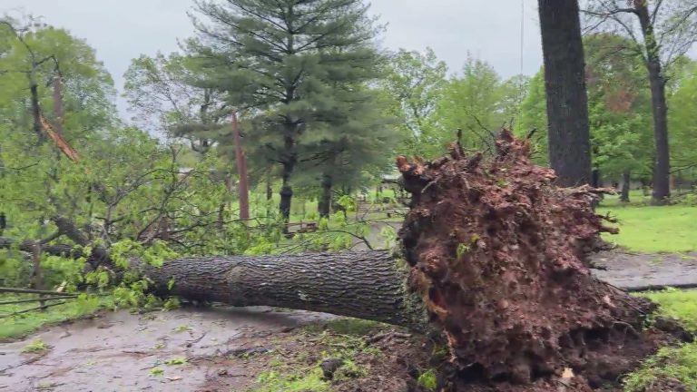 Volunteers Urgently Needed for Storm Cleanup at Camp Barnabas in Barry County