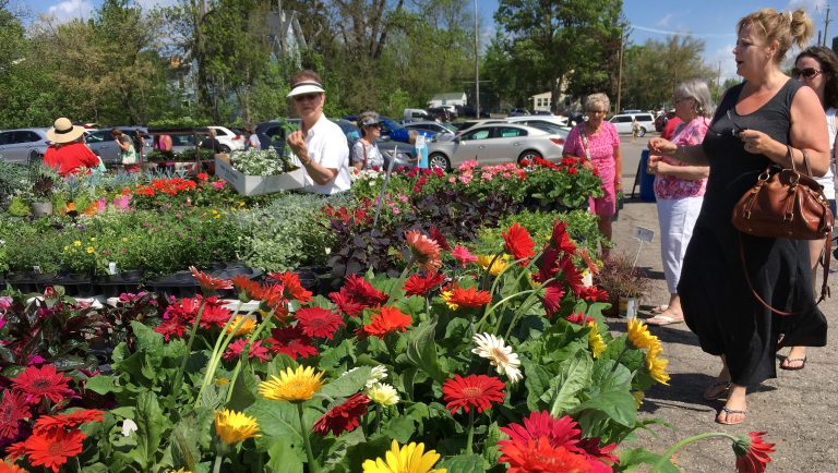 Art Fair and Farmers Market Light Up Mother’s Day Weekend in Southeast Michigan