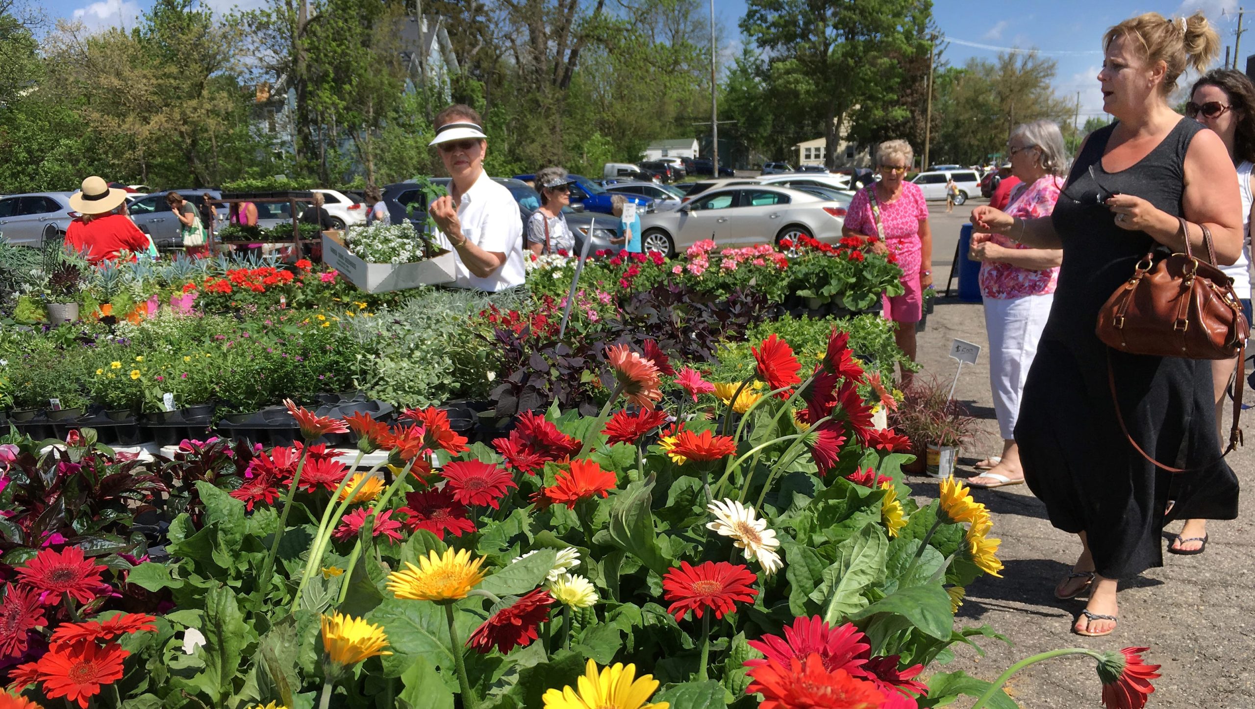 Art Fair and Farmers Market Light Up Mother’s Day Weekend in Southeast Michigan