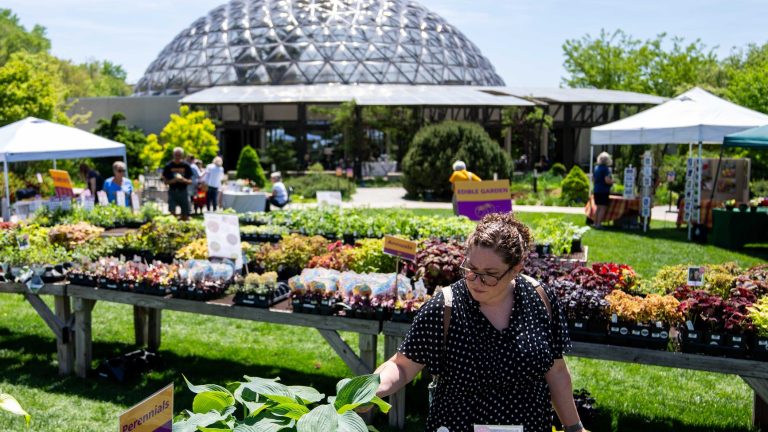 When Is It Safe to Plant Outside in Michigan? Learn How Frost Dates Vary Statewide