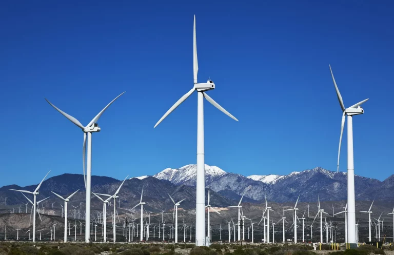 Michigan and 17 Other States Sue Trump Administration Over Wind Energy Blockade