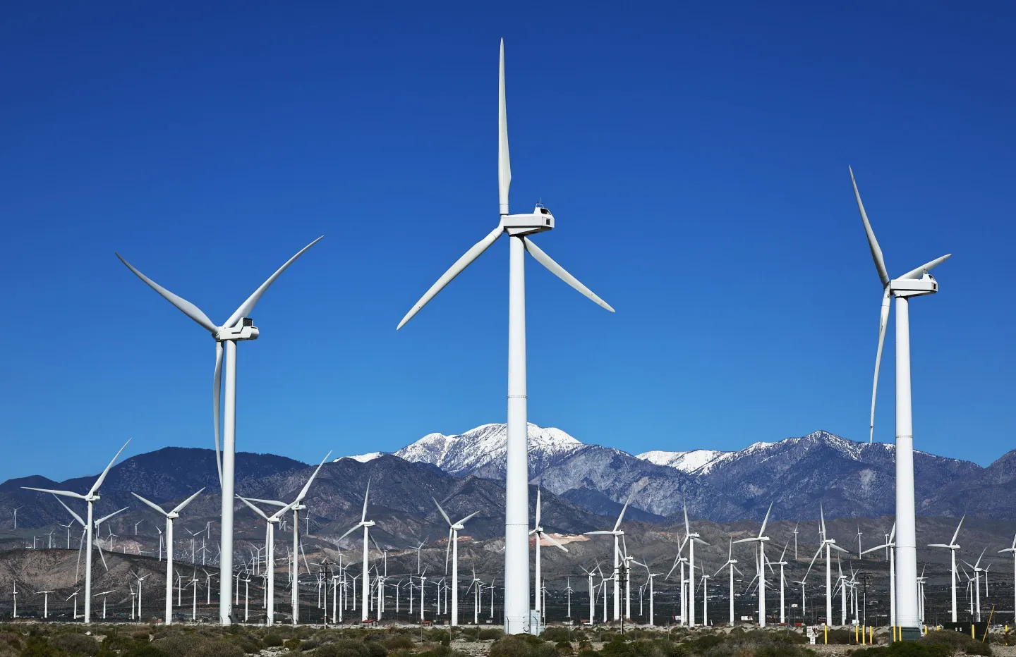 Michigan and 17 Other States Sue Trump Administration Over Wind Energy Blockade