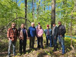 Storm Recovery Begins: Special Provisions Approved for Michigan Maple Syrup Production Restoration